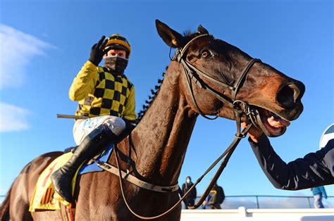 horses running at cheltenham